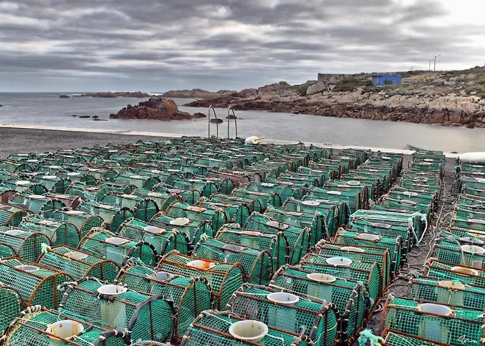 Os Faros Pisos Turisticos * Arou